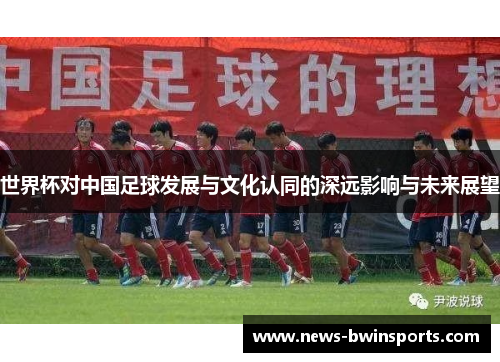 世界杯对中国足球发展与文化认同的深远影响与未来展望